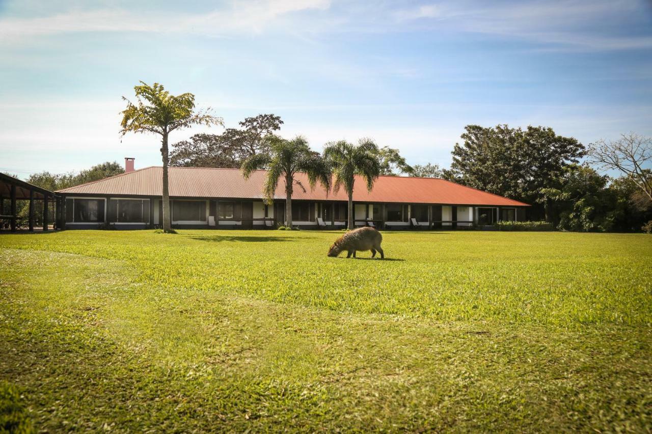 Aguape Lodge Colonia Carlos Pellegrini  Zewnętrze zdjęcie