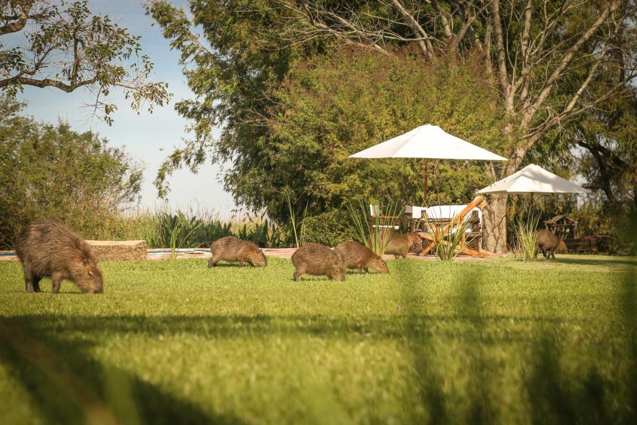 Aguape Lodge Colonia Carlos Pellegrini  Zewnętrze zdjęcie